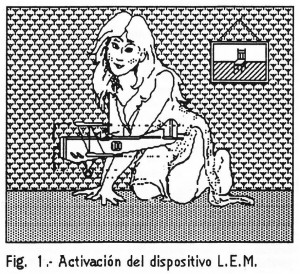 lem_0_fig2-300x274